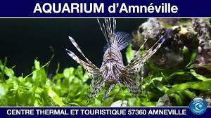 Aquarium (Amnéville les Thermes) – Image 4