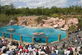 Zoo d'Amnéville (Amnéville les Thermes) – Image 4