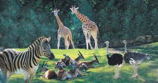 Zoo d'Amnéville (Amnéville les Thermes) – Image 6