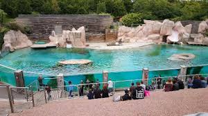 Zoo d'Amnéville (Amnéville les Thermes) – Image 3